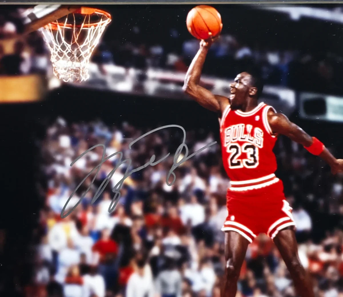 Michael Jordan & Julius Erving Dual Signed Framed 16x20 Photo – UDA Authenticated